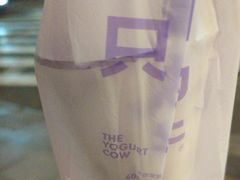 -一只酸奶牛(奎星楼店)