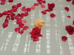 -龙脉温泉室内游泳馆