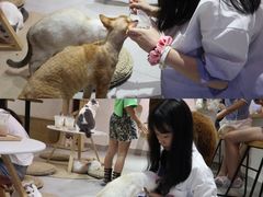 -Heymao猫咖.咖啡厅(东门店)