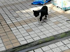 -艾加柒克蛋糕茶歇甜品台(春熙路店)