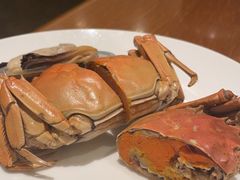 -凯菲厅海鲜姿造·海鲜自助·帝王蟹·龙虾(成都群光君悦酒店)