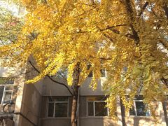 -辽宁大学(崇山校区)