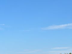 -麦当劳(政通路店)