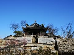 -广富林郊野公园