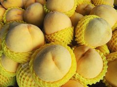 -红星农博物流中心