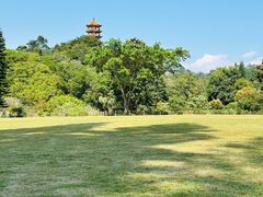 -深圳仙湖植物园