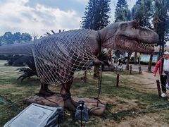 -自贡恐龙博物馆