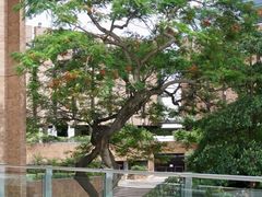 -香港理工大学
