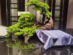 -青雅中餐厅(大连金石滩绿发希尔顿度假酒店)