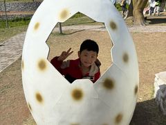 -西部长青自然儿童乐园