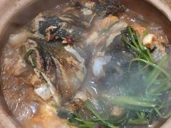 -九道菜有鸡鱼头(石鼓路店)