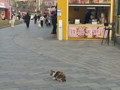 -成都欢乐谷