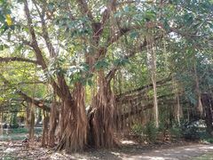 -北海市海滨公园