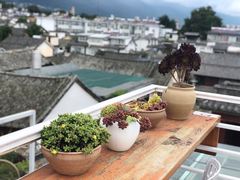 -唐咖精品咖啡(大理古城手冲店)