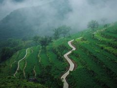 -白草畔自然风景区