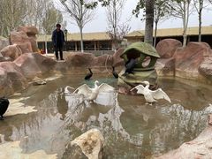 -北戴河集发农业梦想王国