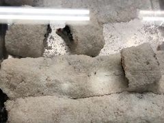 -清真·白记年糕(牛街北口店)