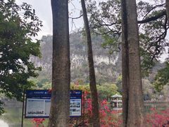 -星湖旅游景区七星岩