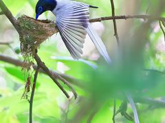 -桤木河湿地公园
