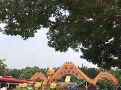 -深圳野生动物园