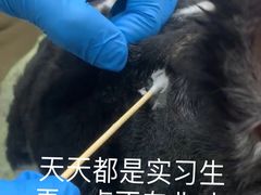 -成都民大动物医院