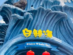 -杭州长乔极地海洋公园
