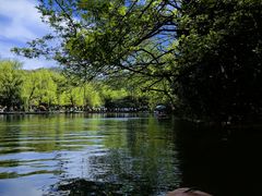 -柳浪闻莺公园