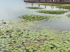 -西昌邛海湿地