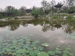 -上海滨江森林公园