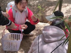 -123+智汇成长中心(保利时光里中心)