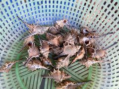 -有间冰室(侨港风情街店)