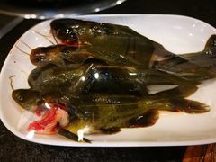 -川成串·自助串串香火锅(朝阳店)