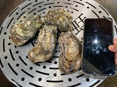 -飞尝蚝·顺德菜·鱼生(顺德总店)