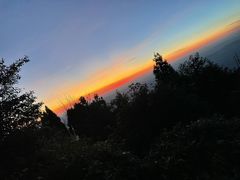 -武陵山森林公园