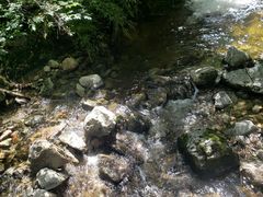 -青峰峡国家森林公园