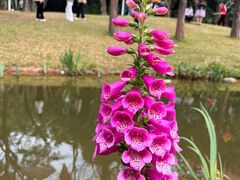 -人民公园(罗湖区)