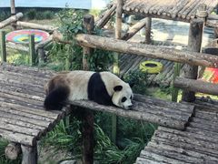 -大连森林动物园