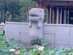 -惠州西湖丰渚园