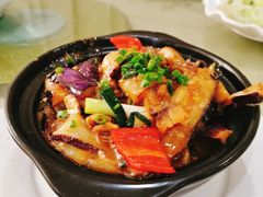 -黄流叉路老鸭