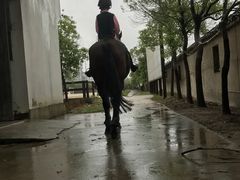 -松声马术俱乐部