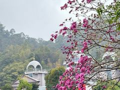 -红山村