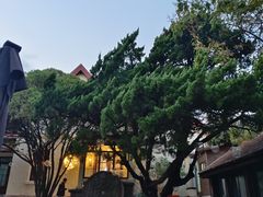 -青岛遇见米兰(八大关店)