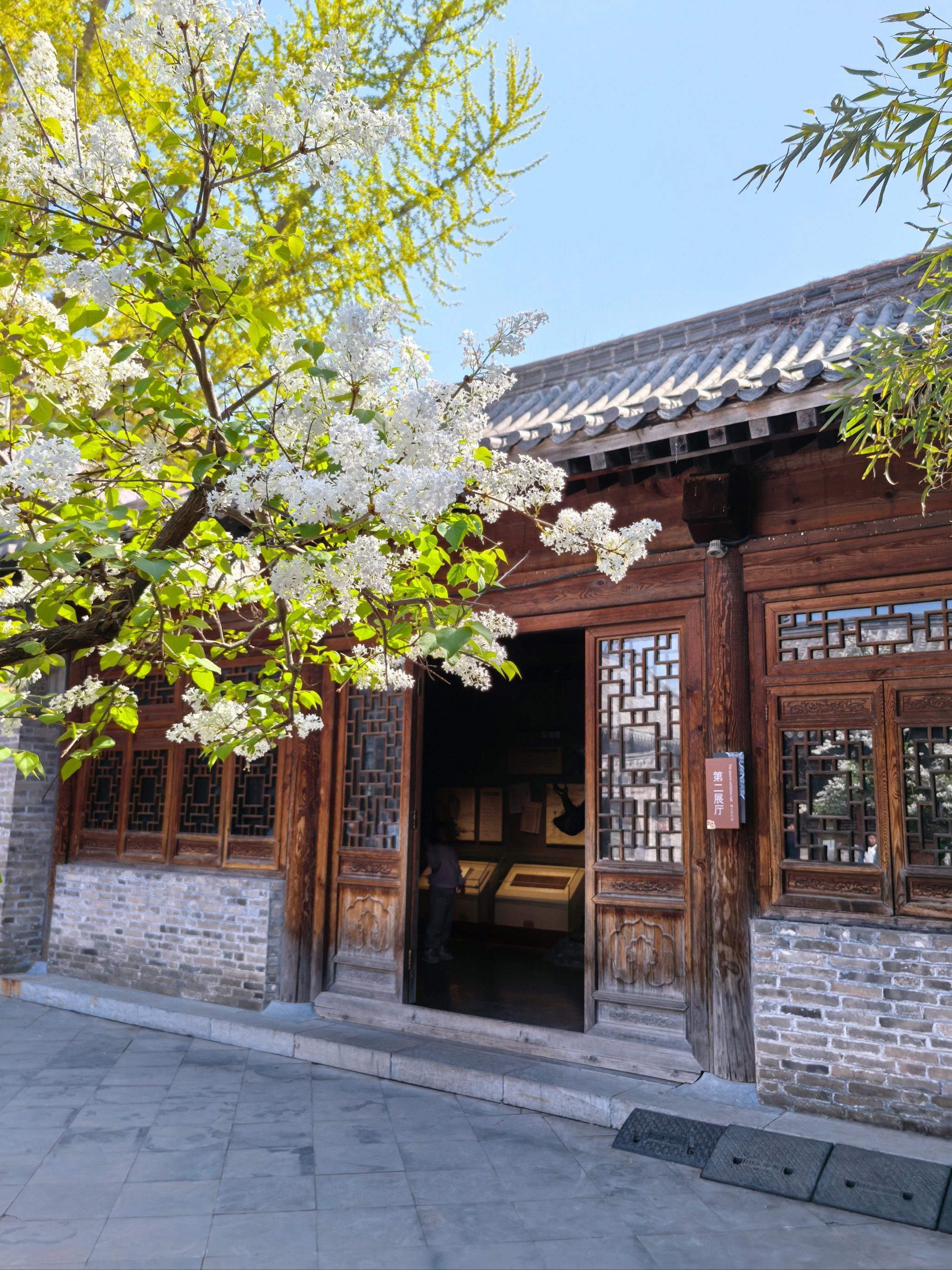 青州偶园漫步记