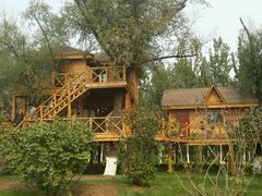 -武清南湖绿博园