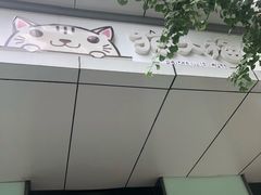 -猫大福·Fortune Cat猫舍(百子湾店)