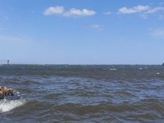 -春花秋色城市公园