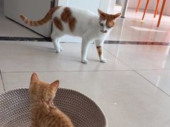 -佳雯宠物医院·皮肤科·内外科(春晓路分院)