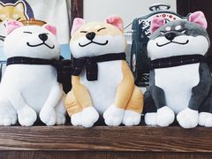 -逗柴咖啡屋·狗咖猫咖宠物桌游