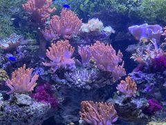 -郑州海洋馆
