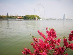 -无锡蠡湖国家湿地公园-蠡园